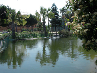 Palacio de Exposiciones y Congresos de Estepona